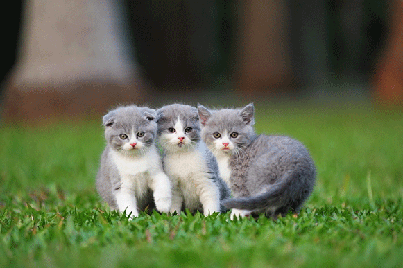 1499939157966368.gif kljhiguy6.gif