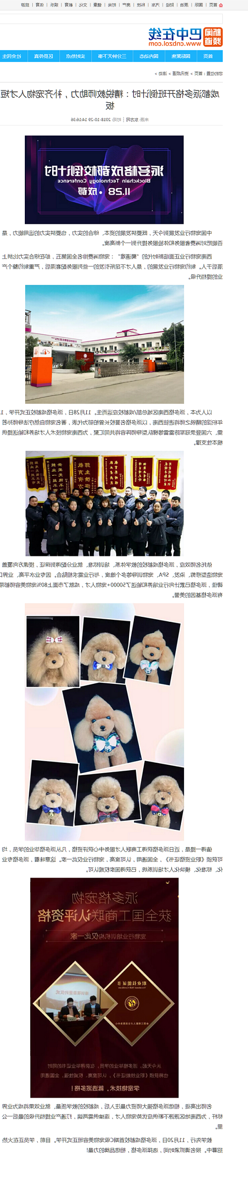 成都派多格开班倒计时：精锐教师助力，补齐宠物人才短板 - 巴中在线.png