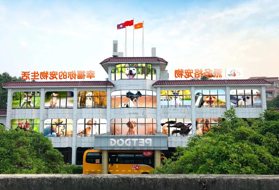 1543914047863046.jpg 微信图片_20181204165521.jpg